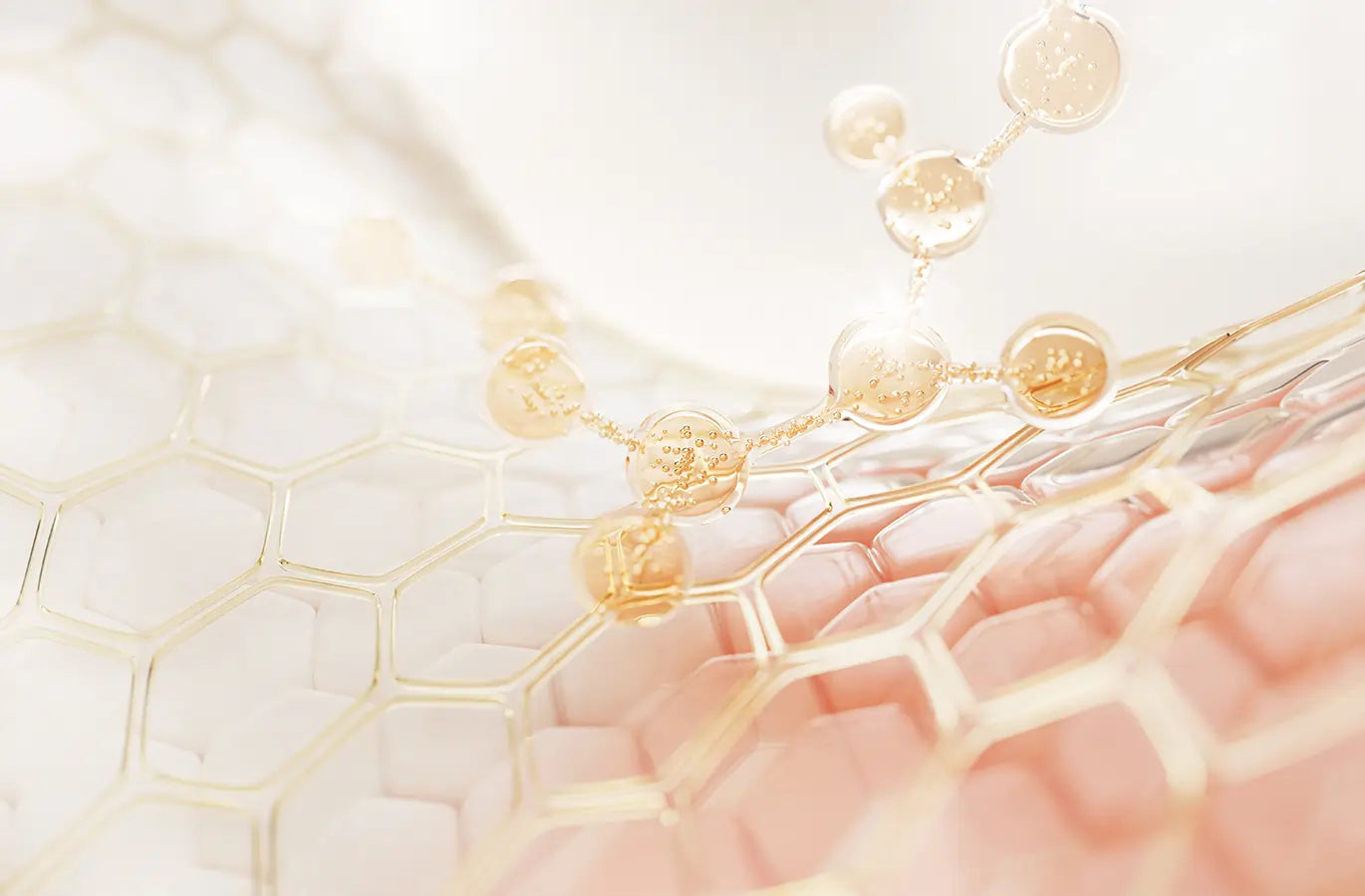 microbome supporting the skin barrier