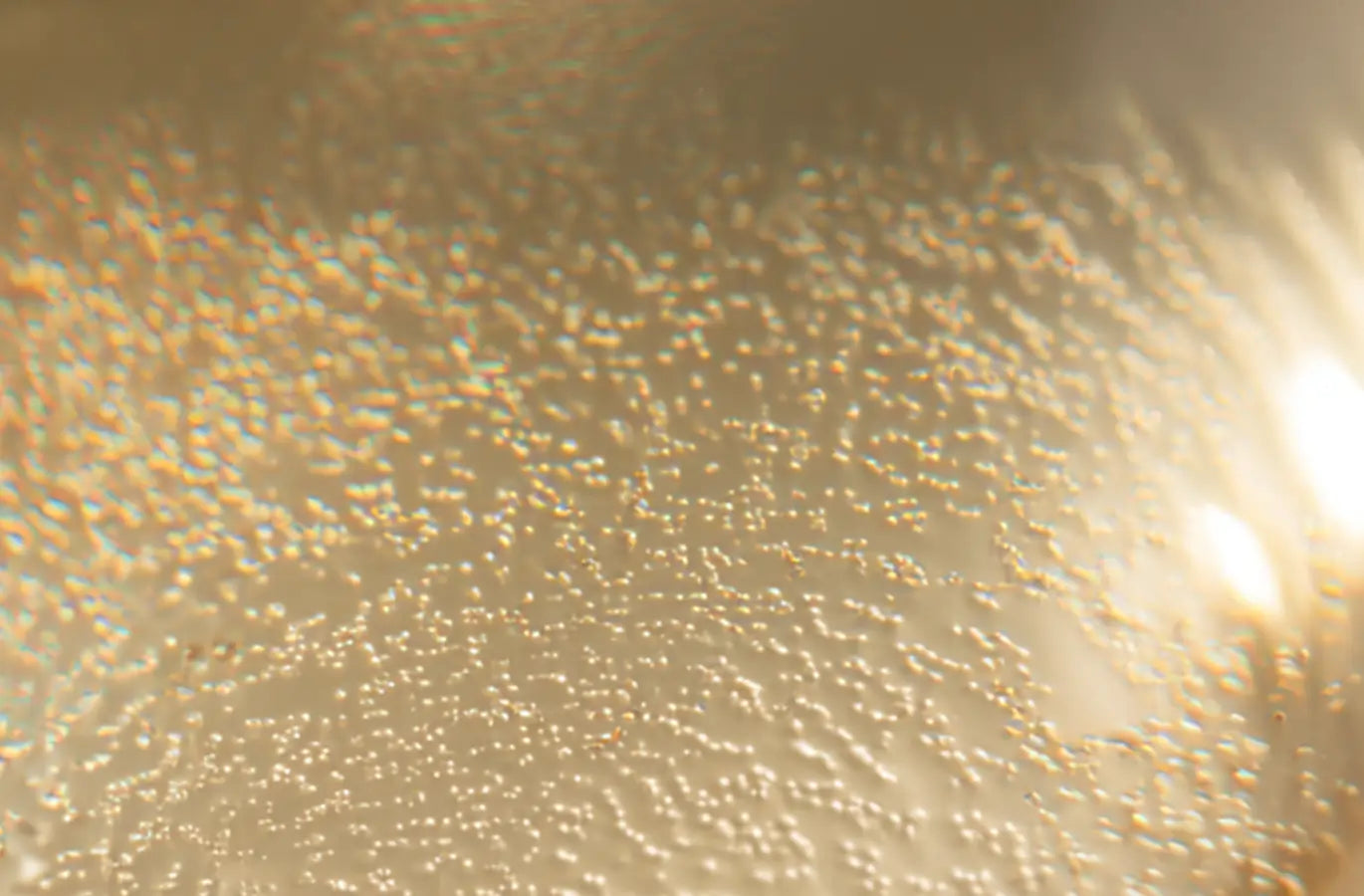 Skincare biotechnology droplets