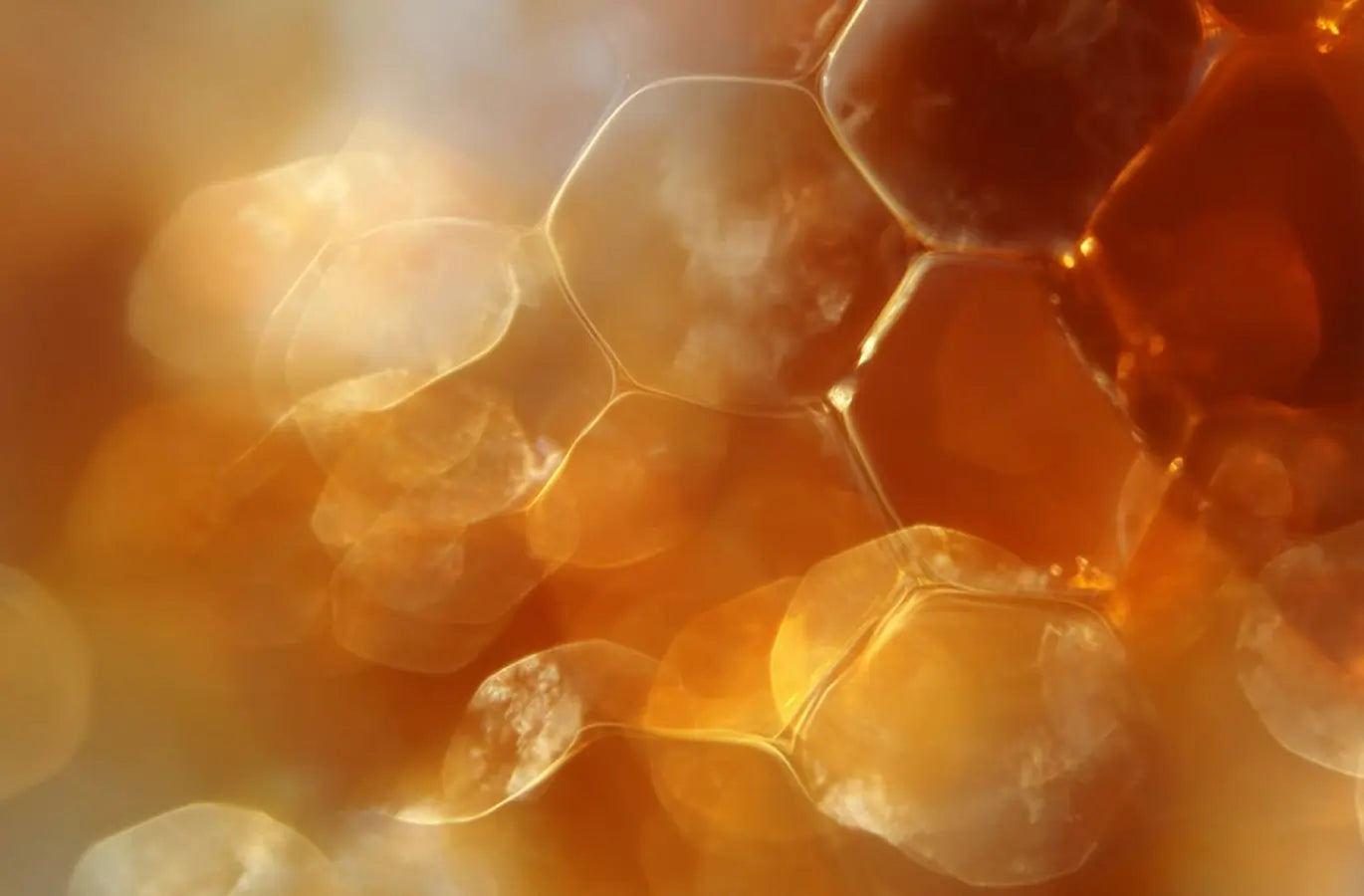 Microbiome skincare formulation